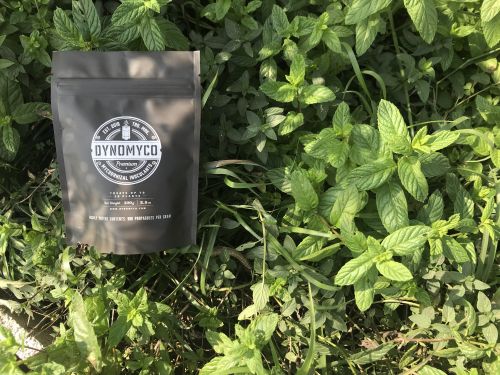 When and How to Inoculate Your Plants – DYNOMYCO