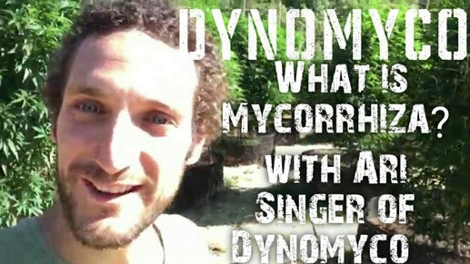 Growroom420 sits down with Ari Singer to discuss the many benefits of DYNOMYCO®