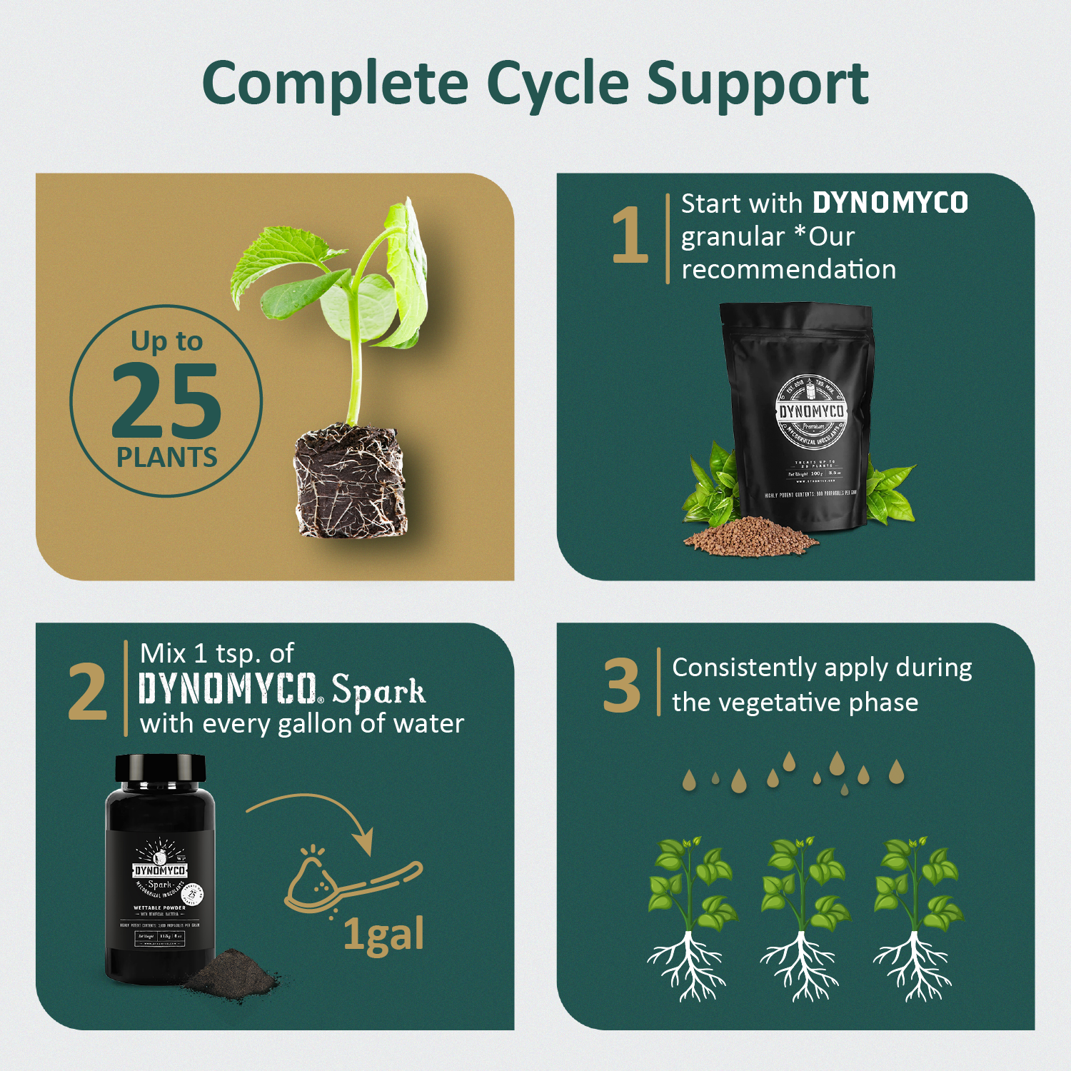 6_4100x.png?v=1711452758