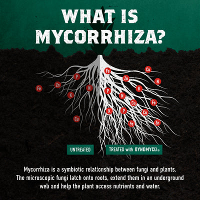 Premium Mycorrhizal Inoculants - DYNOMYCO