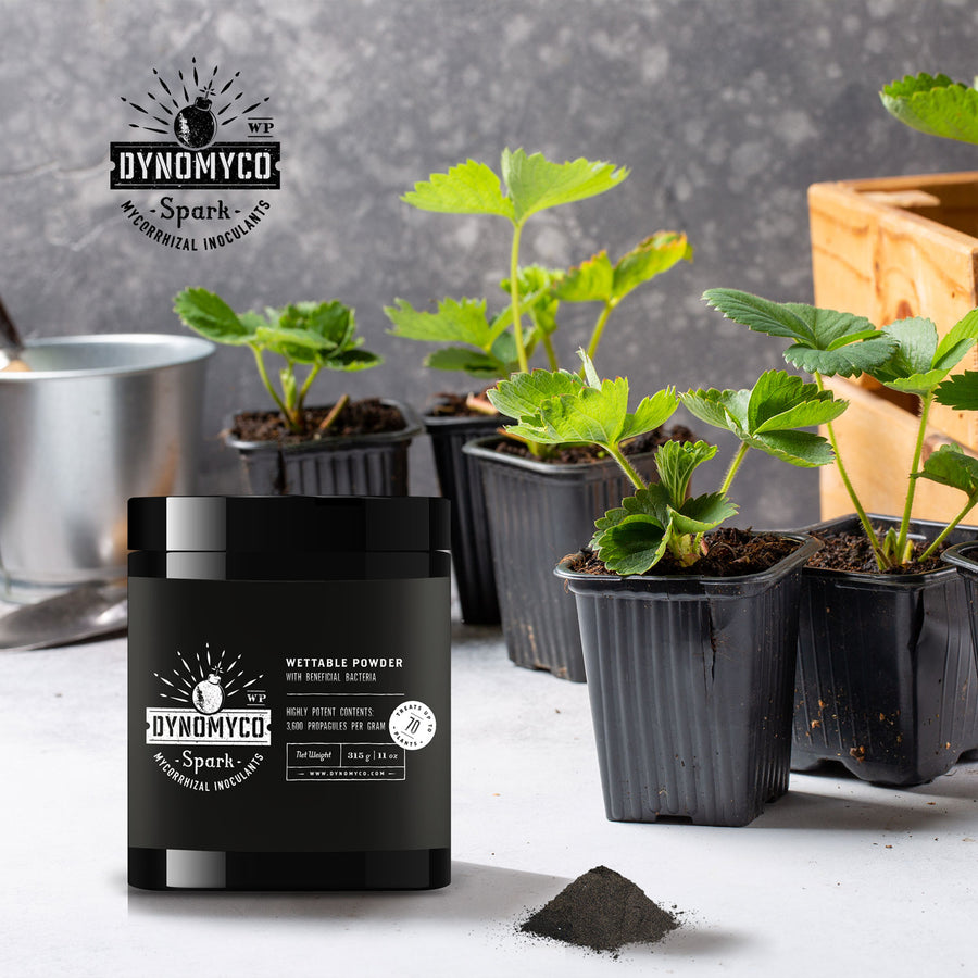 DYNOMYCO Spark Wettable Powder