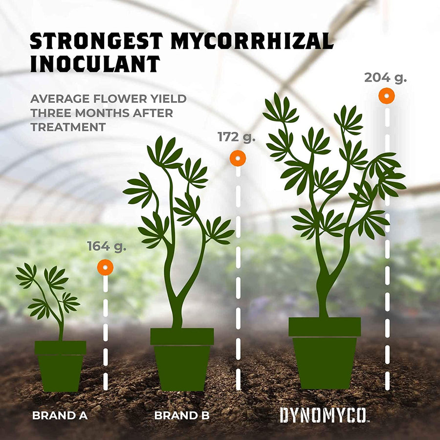 DYNOMYCO 200g - Treats up to 40 plants!